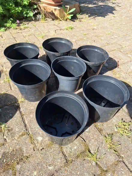Photo of free Flowerpots (Bexhill) #4