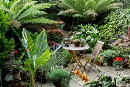 Photo of Garden items (Crookes S10) #1