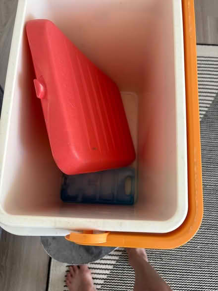 Photo of free Cool box (Thorndon) #3