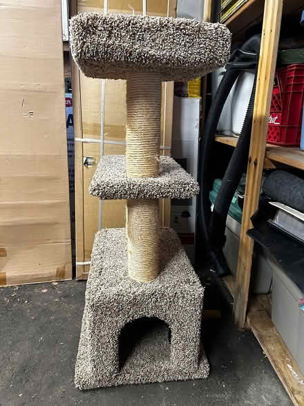Photo of free Cat tree (Elmvale Acres) #2