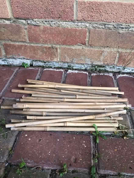 Photo of free Bamboo sticks (Whitehill SG4) #1