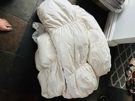 Photo of free Duvet (Meadowvale) #1
