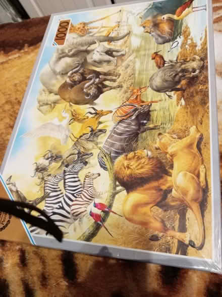 Photo of free 2 puzzles 1000 pieces (Maidenhead SL6) #2
