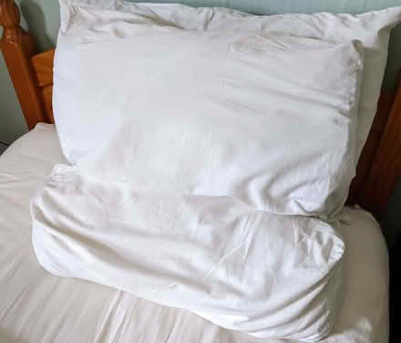 Photo of free Two piece pillow for sitting up in bed (Higham Hill E17) #1