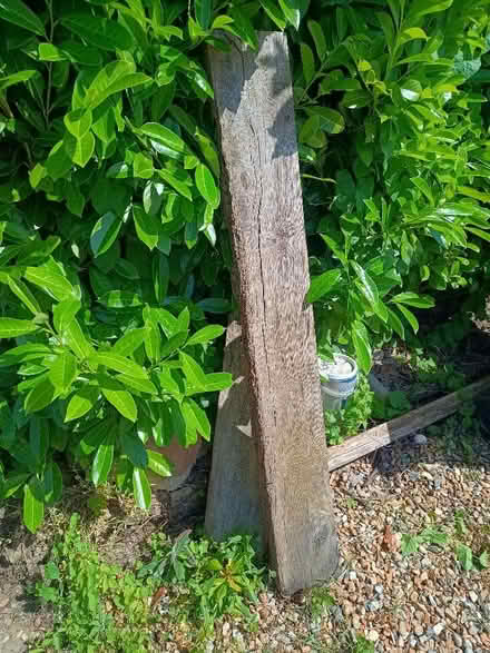 Photo of free Bits of railway sleepers (Hayling Island PO11) #1