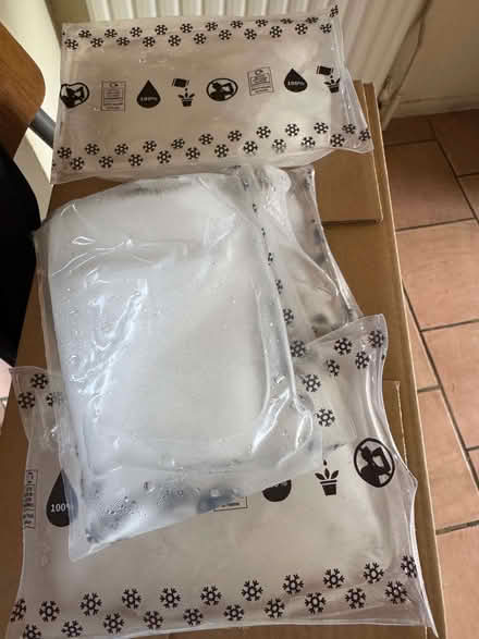 Photo of free Freezer bricks (Putnoe MK41) #1