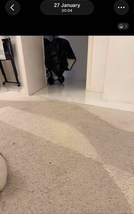 Photo of free Luxury rug (SE11) #2