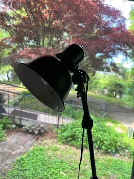 Photo of free Adjustable floor lamp (Lunenburg) #2
