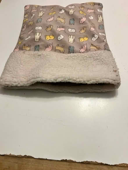 Photo of free Crinkly soft kitty bed/cave (Lunenburg) #2