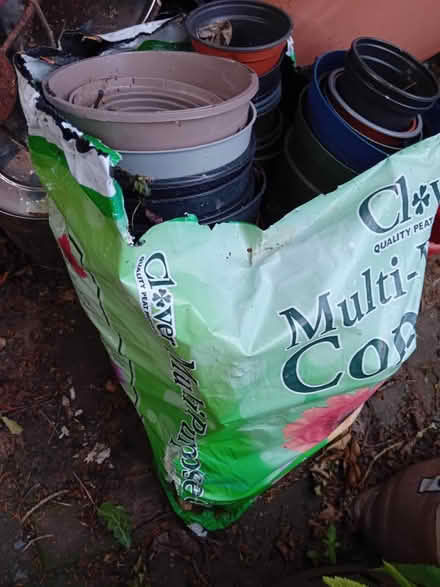 Photo of free Bags of plastic plant pots (Swanshurst B13) #1