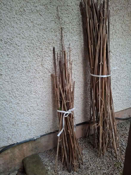 Photo of free Glass jars, salt grinders, bamboo sticks, rubble (Abraham Heights LA1) #2