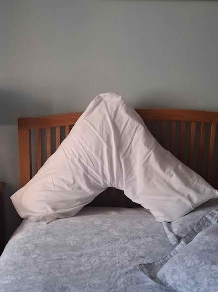 Photo of free Support pillow (Newhaven EH6) #1