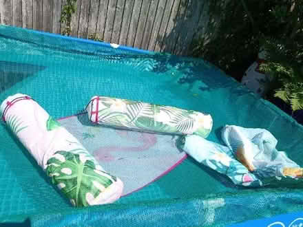 Photo of free swimming pool hammocks (Buxted TN22) #1