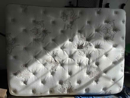 Photo of free Queen Mattress with box spring (6969 Brandi Wood Cir) #1