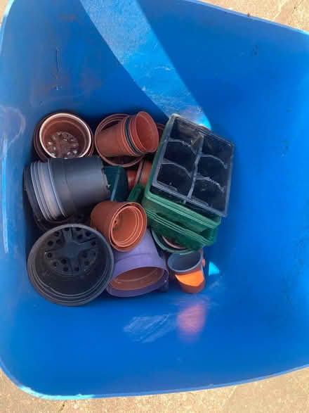 Photo of free A collection of plastic plant pots (hu6) #2