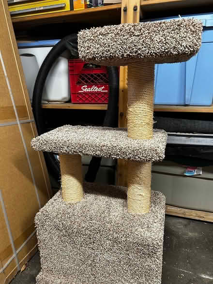 Photo of free Cat tree (Elmvale Acres) #1