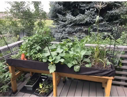 Photo of free VegTrug garden planter🌱 (Lafayette) #2