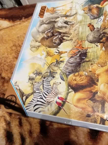 Photo of free 2 puzzles 1000 pieces (Maidenhead SL6) #1