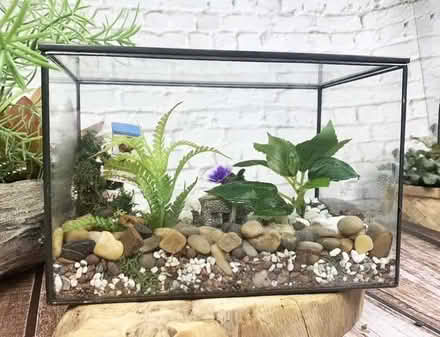 Photo of Small fish tank for plants (Forest Green GL6) #1