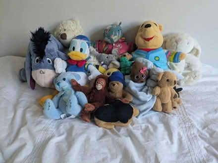 Photo of free Teddies (W7) #1