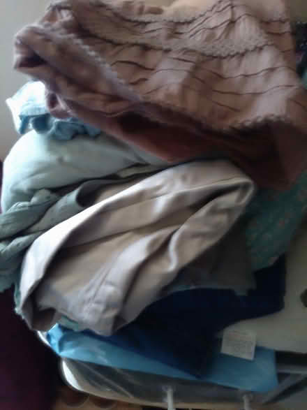 Photo of free Bundle of women's clothes UK 16-22 (Biggleswade) #1