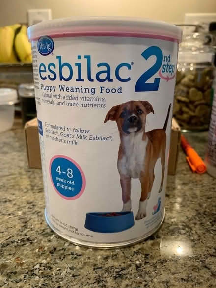 Photo of free Puppy Weaning Formula (Skokie) #1