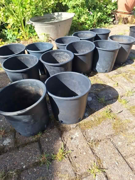 Photo of free Flowerpots (Bexhill) #1