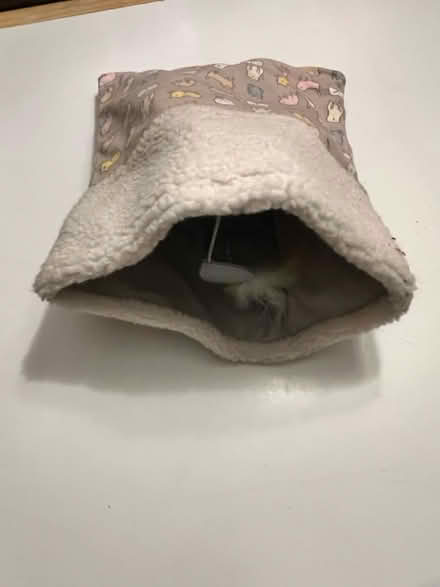 Photo of free Crinkly soft kitty bed/cave (Lunenburg) #1