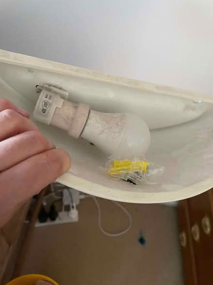 Photo of free Paintable wall light (Mays Green RG9) #1