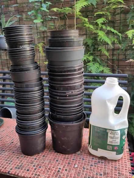 Photo of free 60+ plant pots (L1 Liverpool City Centre) #1