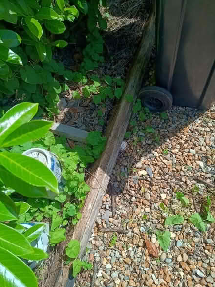 Photo of free Bits of railway sleepers (Hayling Island PO11) #2