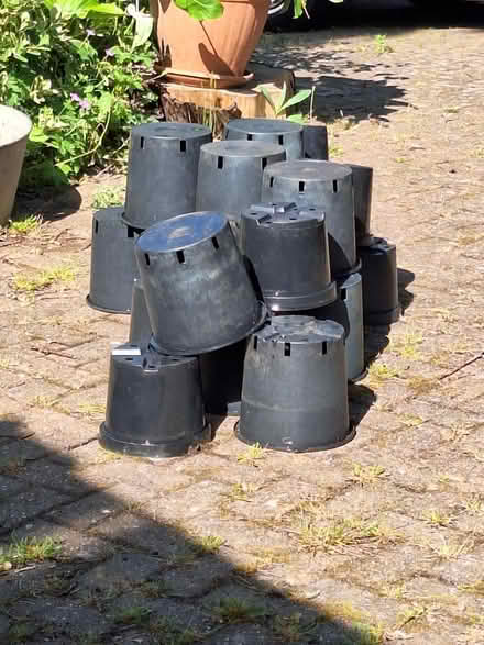 Photo of free Flowerpots (Bexhill) #2