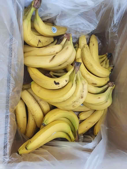 Photo of free Bananas - JOB LOT - Collect today (Booker HP12) #1