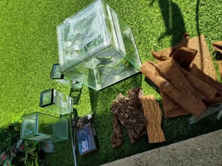 Photo of free Mantis enclosures sw2 (Tulse Hill, SW2) #3