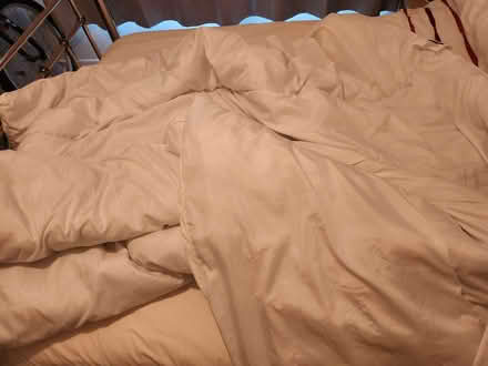 Photo of free White double duvet (Northop Hall CH7) #1