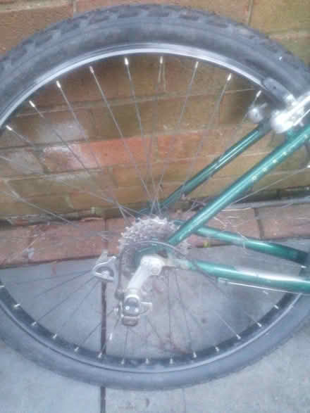 Photo of free Bike frame (Bramley LS13) #2