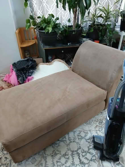Photo of free Chase lounger (Juan Tabo and Central) #4