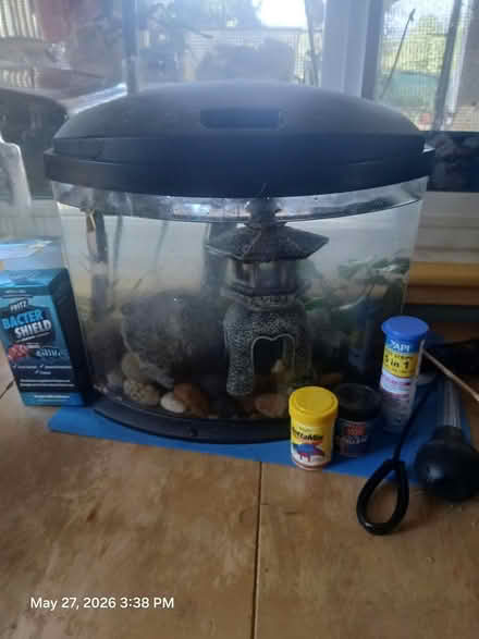 Photo of free fish tank with plants and snails (San Marcos) #1