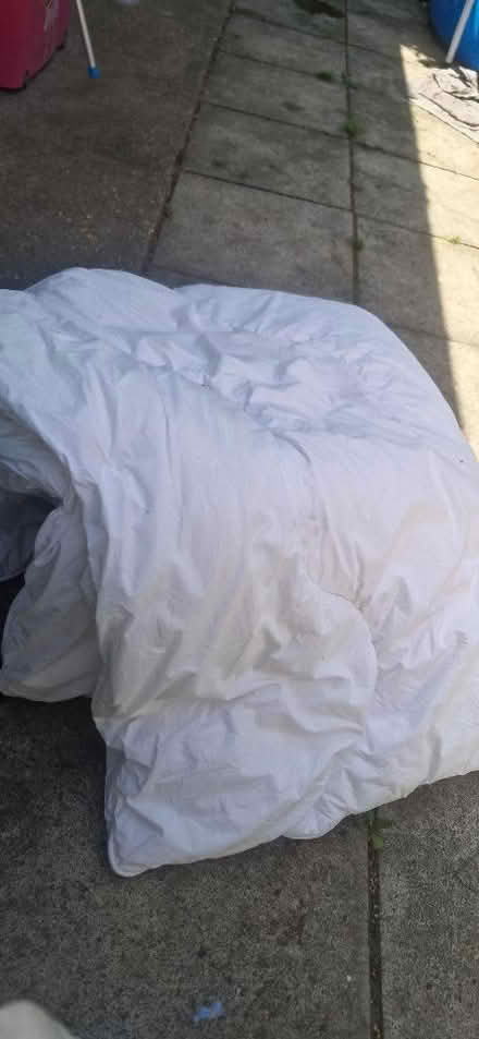 Photo of free Feather single duvet used (Hanworth RG12) #1