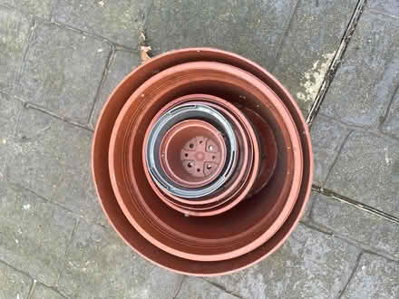 Photo of free Plastic plant pots (Dore, S17) #1