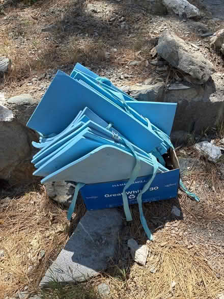 Photo of free Big foam pieces (Wrightwood) #1