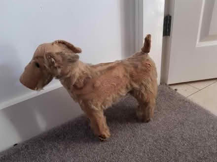 Photo of free Very threadbare dog (Woodseats S8) #1
