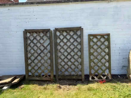 Photo of free Wooden Trellis (Harpenden) #1