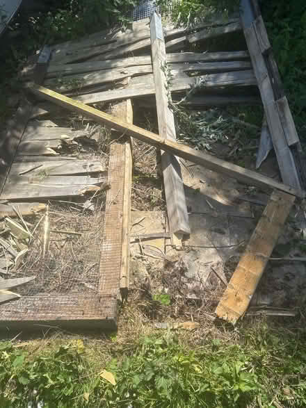 Photo of free Timber & off cut trees logs (BN7) #4