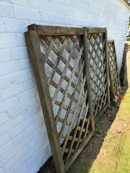 Photo of free Wooden Trellis (Harpenden) #2