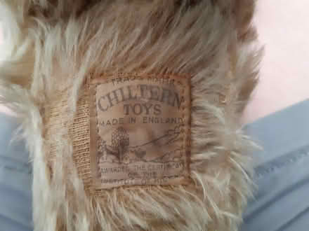 Photo of free Very threadbare dog (Woodseats S8) #3
