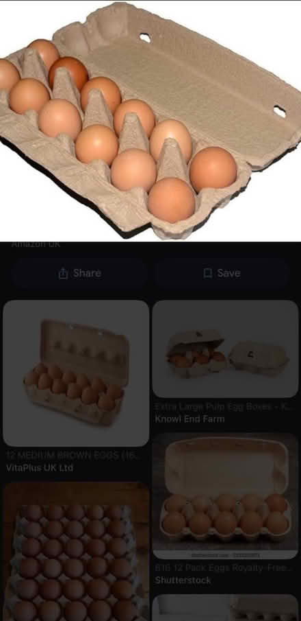 Photo of Egg boxes either 12 or 6 (WD6) #1