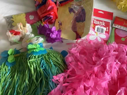 Photo of free Kids Luaua Party in a box (Cottingham HU16) #2
