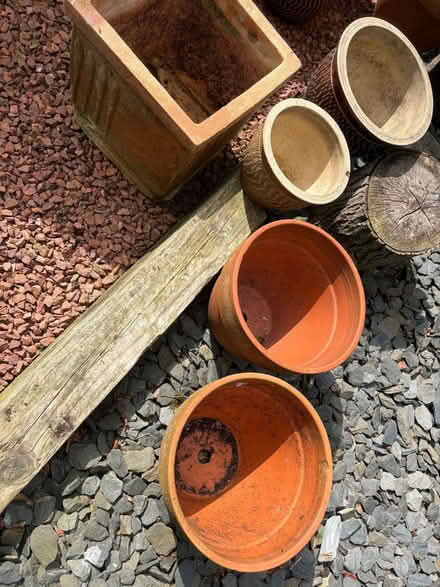 Photo of free Selection of planters and pots (Swarland NE65) #1