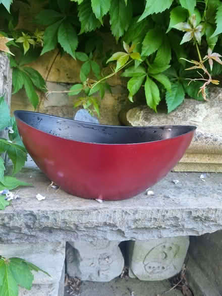 Photo of free Planter (Odd Down BA2) #1